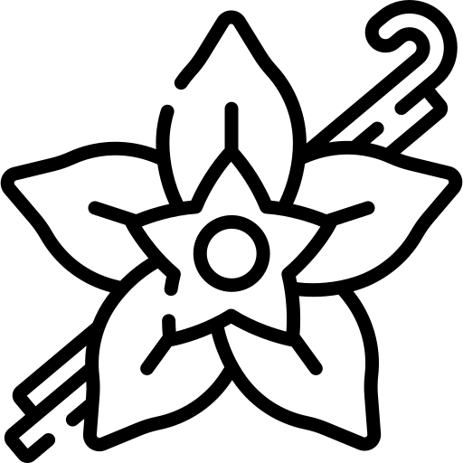 Vanilla icone